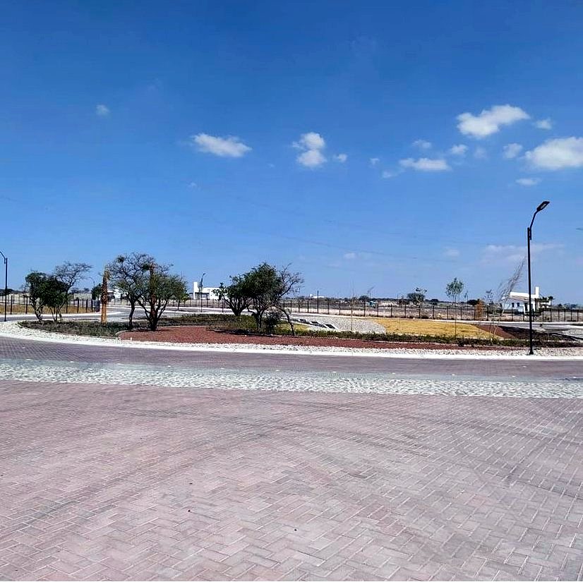 Vialidades y glorieta urbanizada en un desarrollo Ciudad Maderas